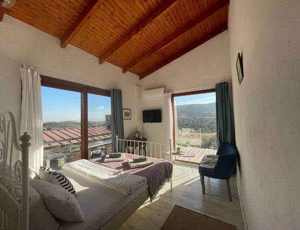 photo_2025-04-20 19.36.18